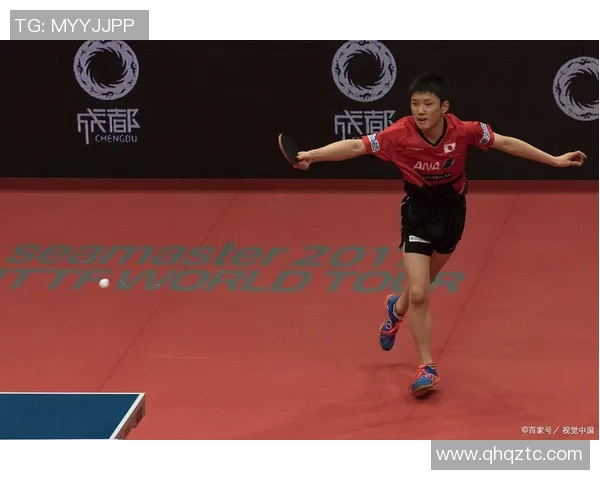 南京羽毛球队的深度解析与控制策略探秘